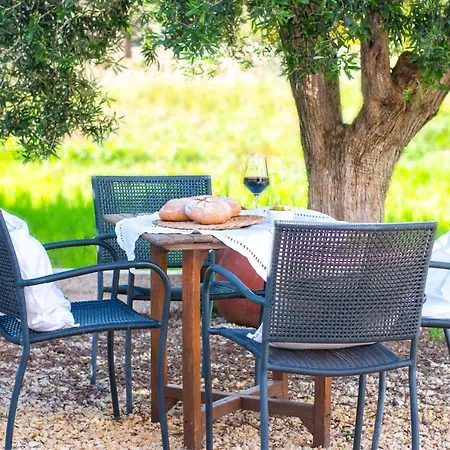 Holiday home Les Oliveres