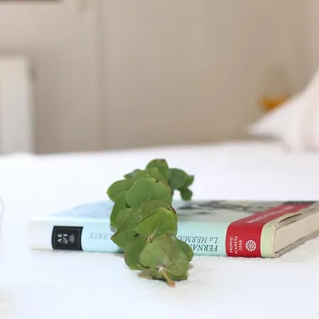 Σπίτι διακοπών Les Oliveres *